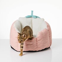 Cool beds for outlet cats